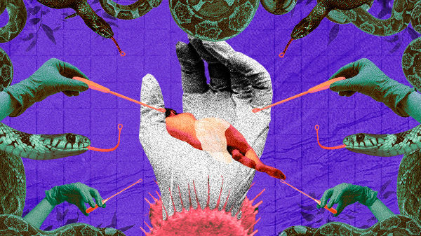portfolio-image