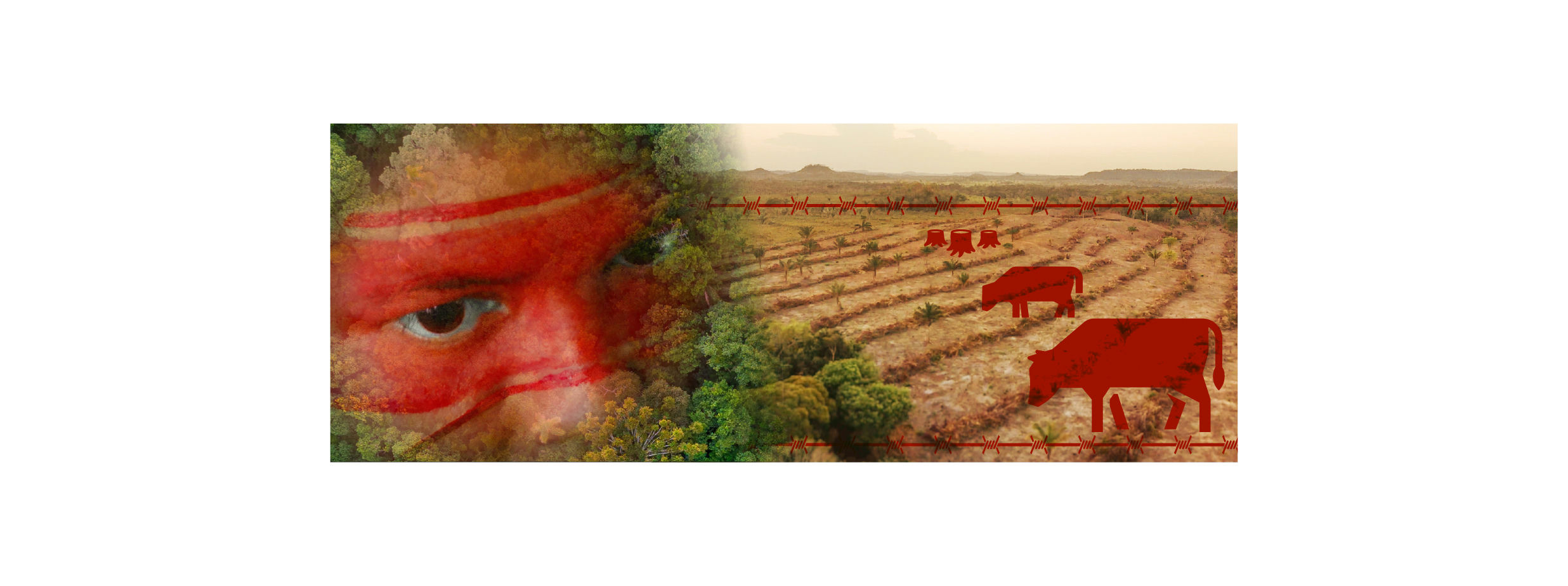 portfolio-image
