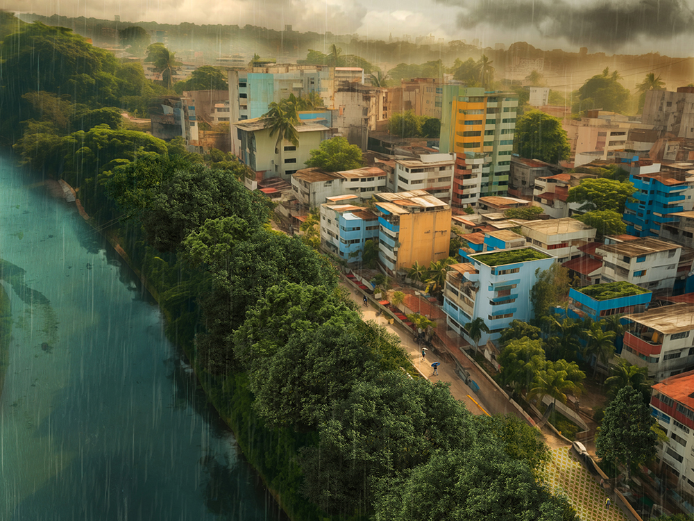 portfolio-image